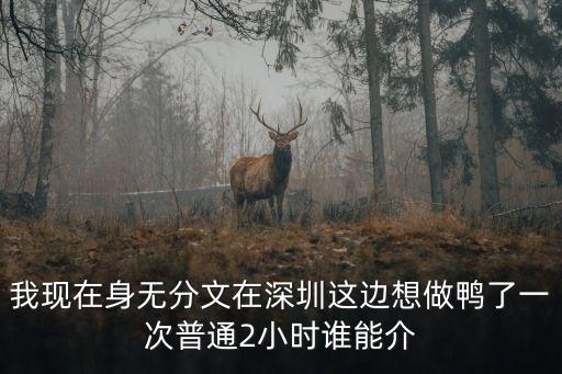 我現(xiàn)在身無分文在深圳這邊想做鴨了一次普通2小時誰能介