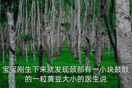 寶寶剛生下來就發現頸部有一小塊鼓鼓的一粒黃豆大小的醫生說
