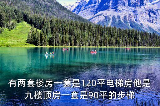 有兩套樓房一套是120平電梯房他是九樓頂房一套是90平的步梯