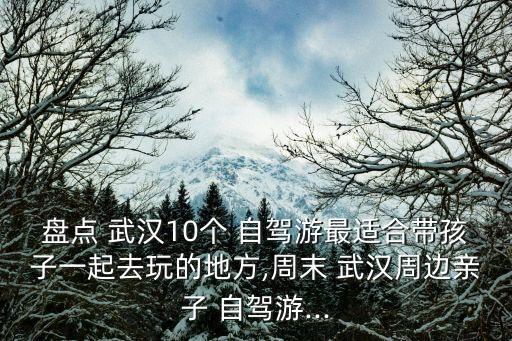 武漢自駕游,武漢著名景區(qū)黃鶴樓登上觀光車可鳥瞰武漢三鎮(zhèn)風(fēng)光