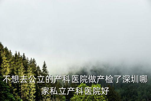 不想去公立的產科醫院做產檢了深圳哪家私立產科醫院好