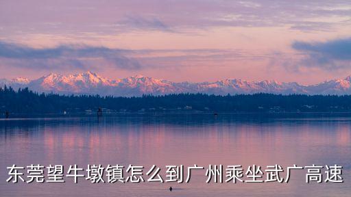 東莞望牛墩鎮怎么到廣州乘坐武廣高速