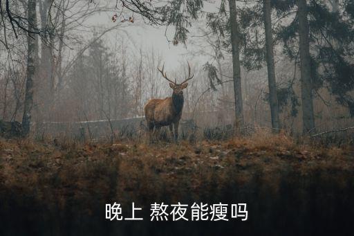 晚上 熬夜能瘦嗎