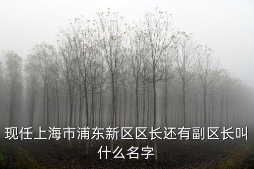 現任上海市浦東新區區長還有副區長叫什么名字