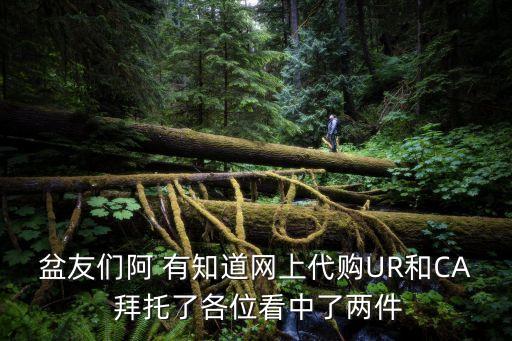 盆友們阿 有知道網上代購UR和CA 拜托了各位看中了兩件