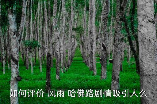 如何評(píng)價(jià) 風(fēng)雨 哈佛路劇情吸引人么