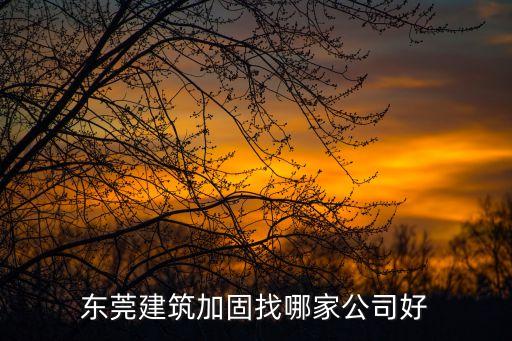 東莞建筑加固找哪家公司好
