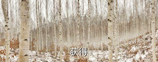 時(shí)代楷模黃大發(fā),前進(jìn)黨支部委員張偉獲頒全國(guó)優(yōu)秀團(tuán)員