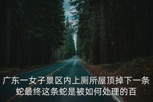 東莞市毒蛇咬傷事件，女子在廣東東莞景區(qū)上廁所屋頂?shù)粝乱粭l蛇你如何看待這件事