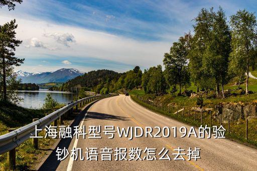 上海市揚帆計劃2019答辯時間，上海融科型號WJDR2019A的驗鈔機語音報數怎么去掉