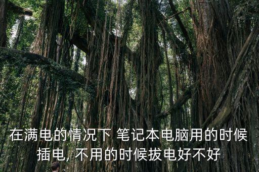 在滿電的情況下 筆記本電腦用的時候插電, 不用的時候拔電好不好
