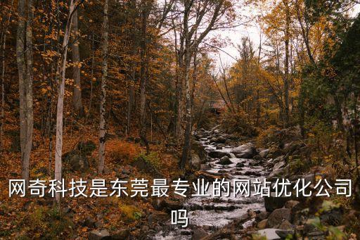 網奇科技是東莞最專業的網站優化公司嗎