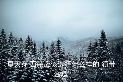 夏天穿 西裝應(yīng)該選擇什么樣的 領(lǐng)帶合適