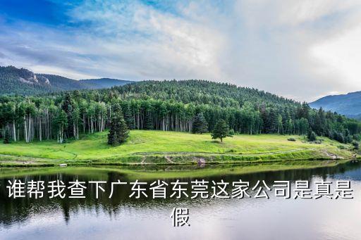 誰幫我查下廣東省東莞這家公司是真是假