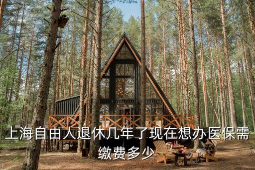 上海自由人退休幾年了現(xiàn)在想辦醫(yī)保需繳費多少