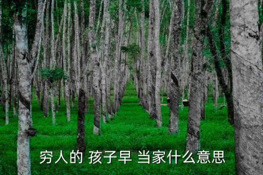 窮人的孩子早當(dāng)家