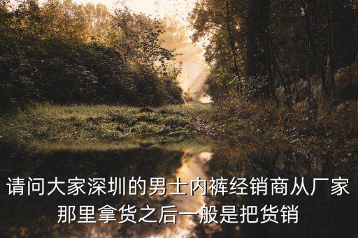 請(qǐng)問大家深圳的男士內(nèi)褲經(jīng)銷商從廠家那里拿貨之后一般是把貨銷