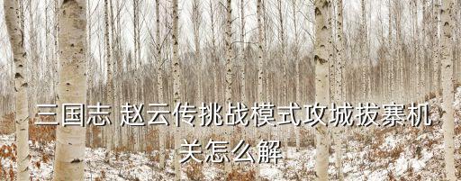 三國志趙云傳,同人戰棋游戲三國志趙云傳