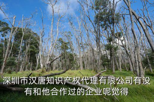 深圳市漢唐知識產(chǎn)權(quán)代理有限公司有沒有和他合作過的企業(yè)呢覺得