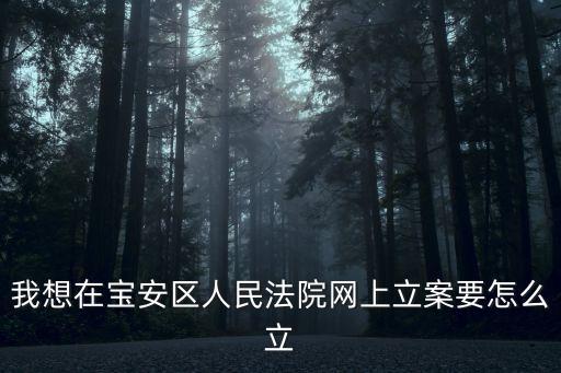 深圳市寶安區(qū)人民法院網(wǎng)案，我想在寶安區(qū)人民法院網(wǎng)上立案要怎么立