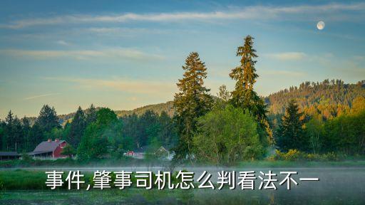 悅悅事件,肇事司機怎么判?看法不一