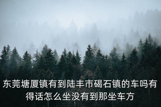 東莞市到碣石鎮(zhèn)最佳路線，從東莞怎么坐車到石碣鎮(zhèn)多少錢呢