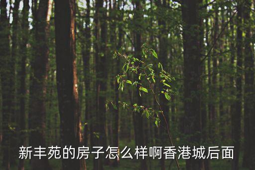 新豐苑的房子怎么樣啊香港城后面