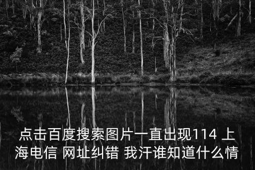 點擊百度搜索圖片一直出現114 上海電信 網址糾錯 我汗誰知道什么情