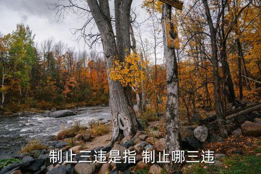 制止,制止和預防有什么區別?