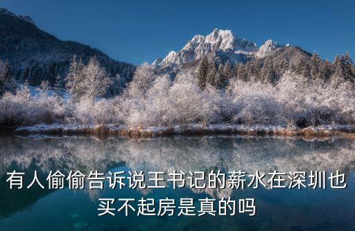 有人偷偷告訴說王書記的薪水在深圳也買不起房是真的嗎