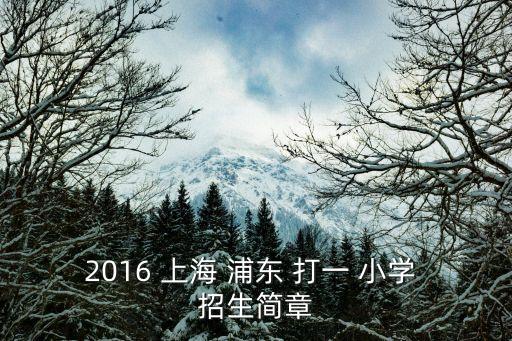 2016 上海 浦東 打一 小學 招生簡章