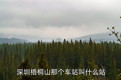 深圳8號線 梧桐山站， 深圳梧桐山那個車站叫什么站