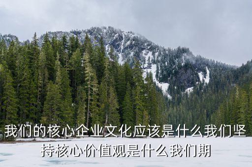 深圳航運的愿景，方面的 企業文化如公司的口號我們的使命愿景遠景理念等