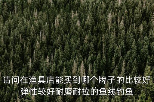 深圳漁具店哪個品牌好，請問在漁具店能買到哪個牌子的比較好彈性較好耐磨耐拉的魚線釣魚