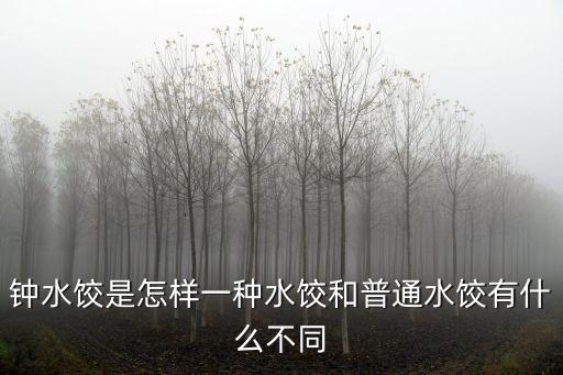 鐘水餃?zhǔn)窃鯓右环N水餃和普通水餃有什么不同