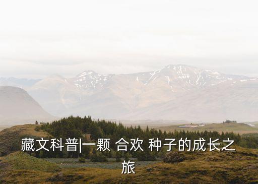 合歡種子