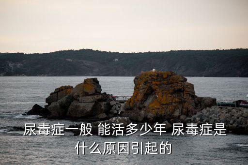 尿毒癥能活多久,得了尿毒癥能活多久?