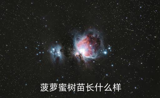 菠蘿蜜樹,這些樹苗是怎么一回事?