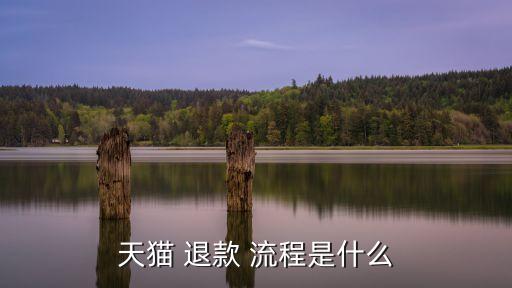 退款流程,心動網(wǎng)絡(luò)未成年充值退款流程