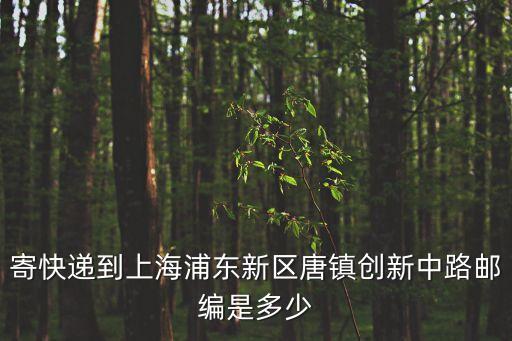 寄快遞到上海浦東新區唐鎮創新中路郵編是多少