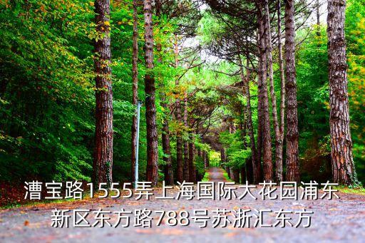漕寶路1555弄上海國際大花園浦東新區東方路788號蘇浙匯東方