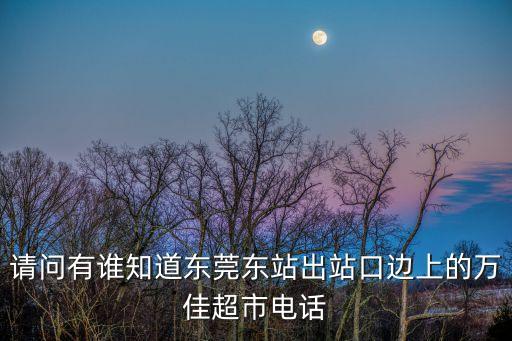 請問有誰知道東莞東站出站口邊上的萬佳超市電話