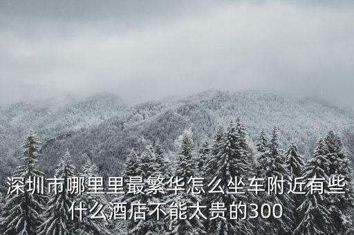 深圳市哪里里最繁華怎么坐車附近有些什么酒店不能太貴的300