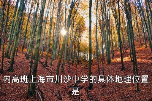 上海市川沙中學的地址查詢，內高班上海市川沙中學的具體地理位置是