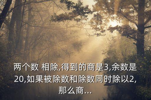 兩個數 相除,得到的商是3,余數是20,如果被除數和除數同時除以2,那么商...
