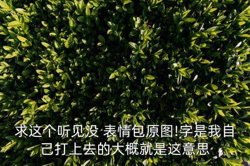 金館長熊貓表情,金館長表情包大全:惡搞數(shù)量多但是有創(chuàng)意!