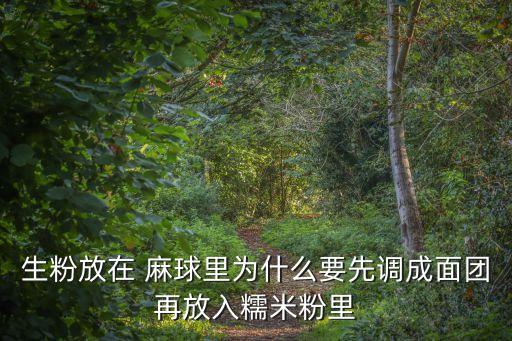 生粉放在 麻球里為什么要先調(diào)成面團(tuán)再放入糯米粉里