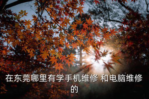 在東莞哪里有學(xué)手機(jī)維修 和電腦維修的