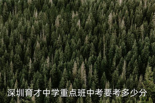 深圳育才中學重點班中考要考多少分