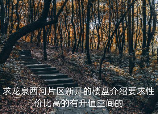求龍泉西河片區(qū)新開(kāi)的樓盤介紹要求性價(jià)比高的有升值空間的